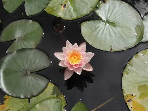 安装步骤二